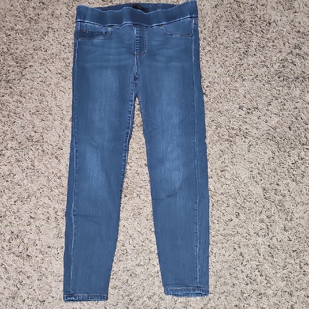Liverpool Women's Denim Blue Jeggings